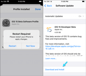 ios 15 beta profile download without developer account